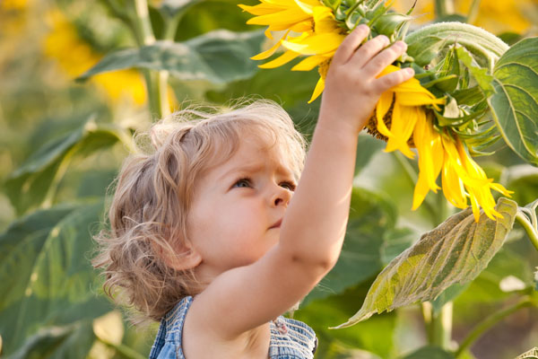 Herbal medicine treatments